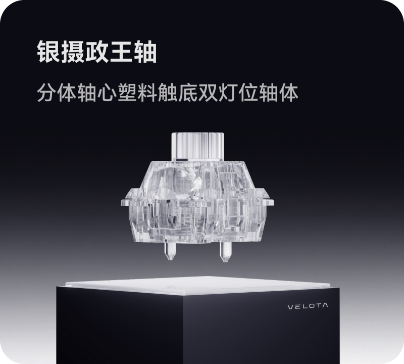 Silver Regent magnetic switch with clear housing and dual light guides